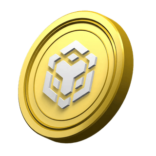 BNB coin graphic displayed in the platform's information section